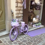 DAILY SCHMANKERL : Ein Lädchen voller Lavendel-Produkte in Bergamo